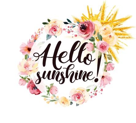 Logo "Hello Sunshine !"